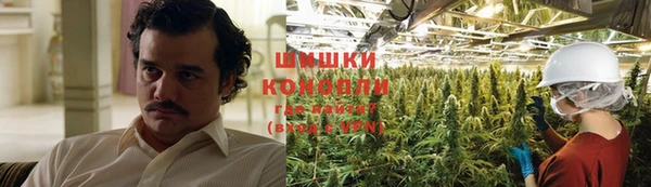 ECSTASY Инсар
