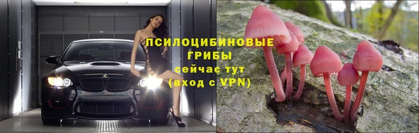 ECSTASY Инсар
