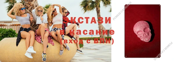 ECSTASY Инсар
