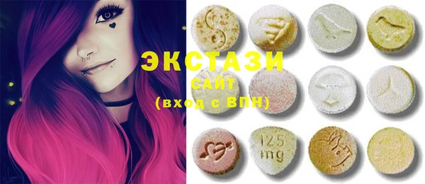ECSTASY Инсар
