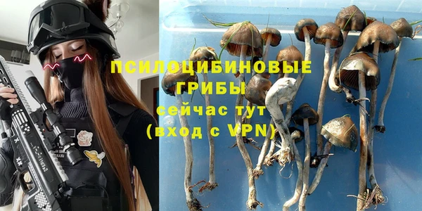 соль курить ск Иннополис