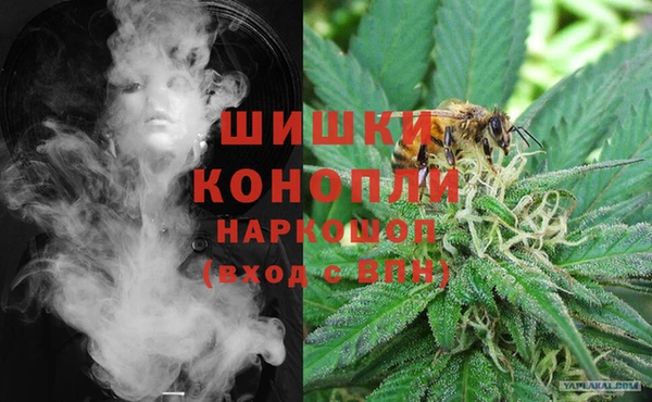 ECSTASY Инсар