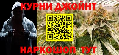 гидра Аргун