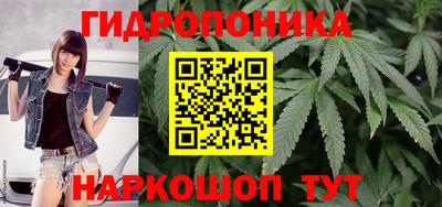 гидра Аргун