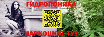 гидра Аргун