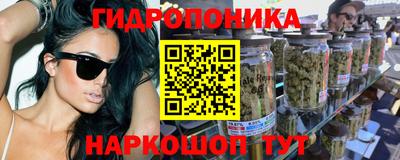 гидра Аргун
