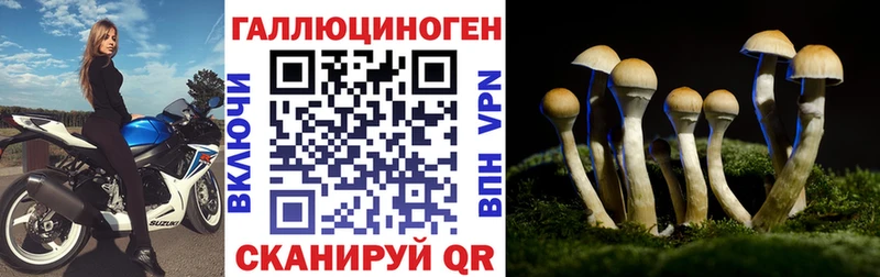 купить наркотики сайты Архангельск Псилоцибиновые грибы прущие грибы