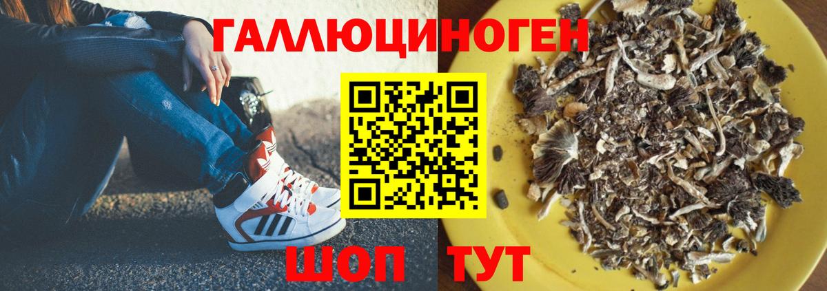 Архангельск  Псилоцибиновые грибы Magic Shrooms  дарнет шоп  Псилоцибиновые грибы MAGIC MUSHROOMS  Вход с VPN 